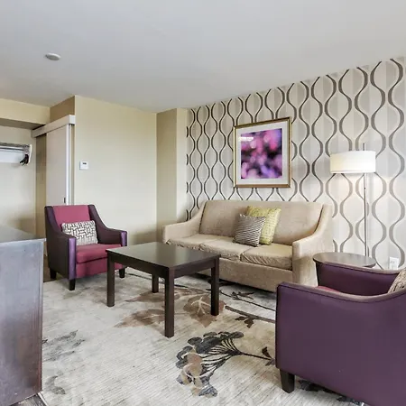 Holiday Inn Toronto International Airport By Ihg-2
